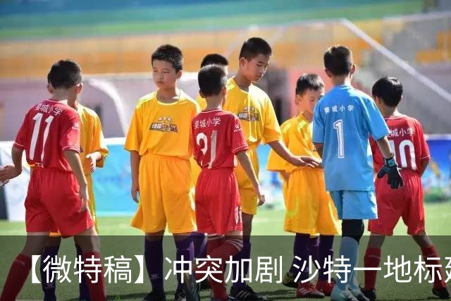 【微特稿】冲突加剧 沙特一地标建筑要求全员远程办公