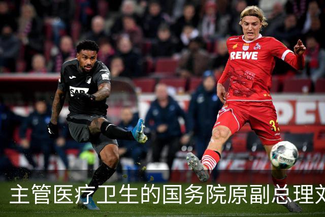 主管医疗卫生的国务院原副总理刘延东逝世