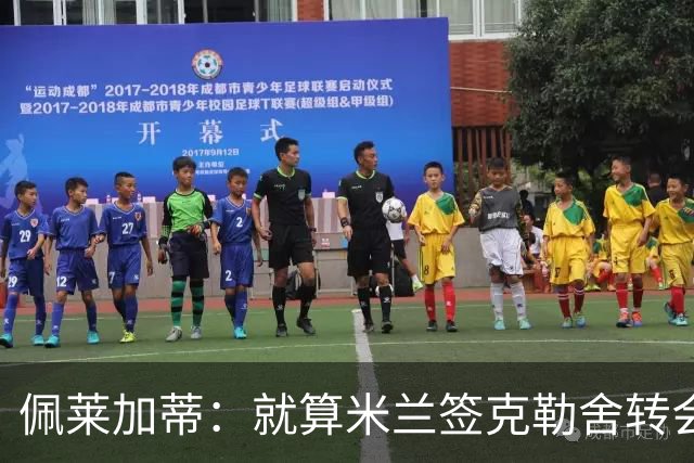 佩莱加蒂：就算米兰签克勒舍转会也是卡尔迪纳莱和阿莫林拍板