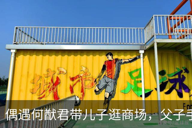 偶遇何猷君带儿子逛商场，父子手牵手很有爱，7岁何广燊长高很多
