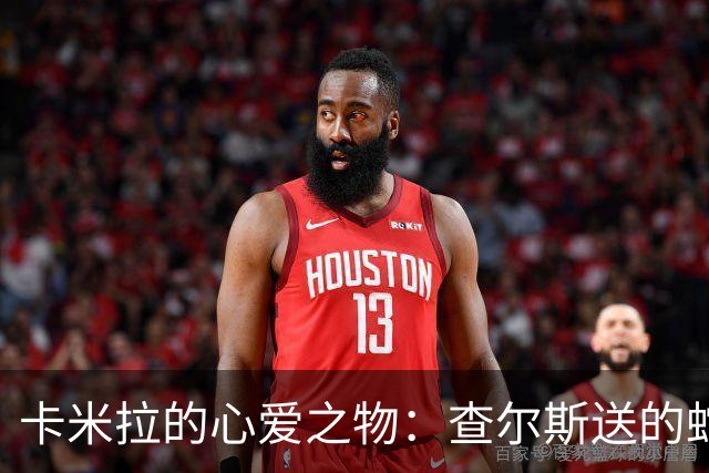卡米拉的心爱之物：查尔斯送的蛇形项链，戴了20多年和她绝配