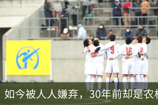 如今被人人嫌弃，30年前却是农村香饽饽，为何如今仍然大量养殖