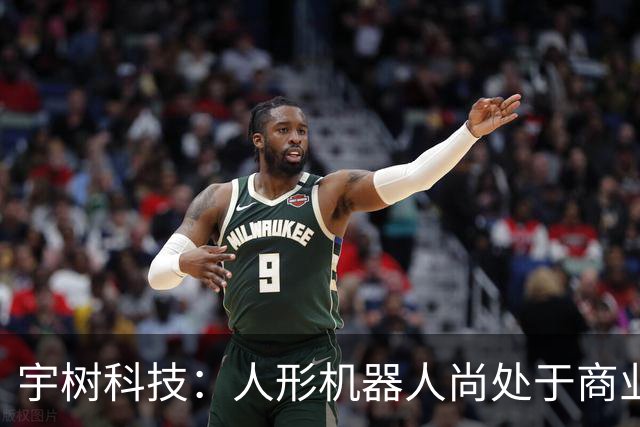 宇树科技：人形机器人尚处于商业化早期，存在估值回归的投资风险