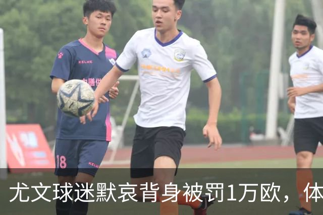 尤文球迷默哀背身被罚1万欧，体育法官公告称人数稀少