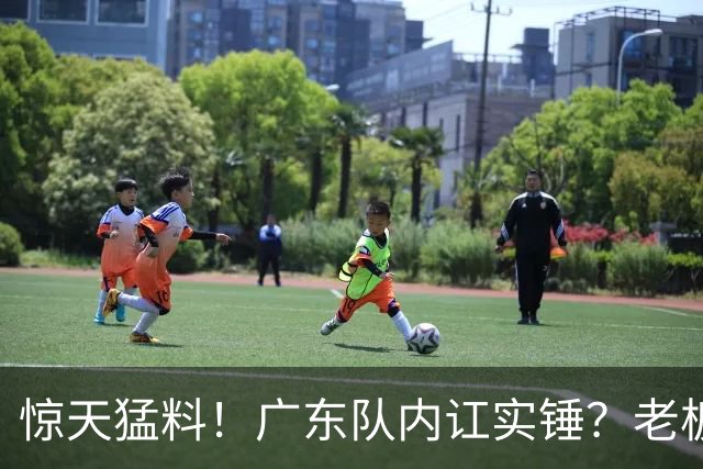 惊天猛料！广东队内讧实锤？老板甩脸色离场，球员眼神黯淡无光