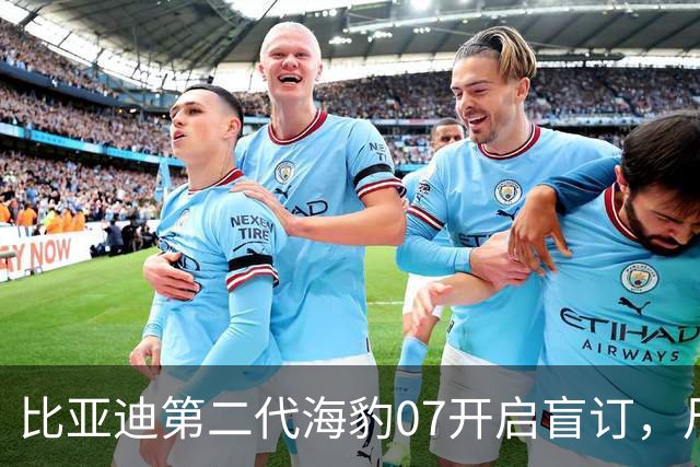 比亚迪第二代海豹07开启盲订，尺寸升级为中大型，小号海豹08竟配备云辇-M！