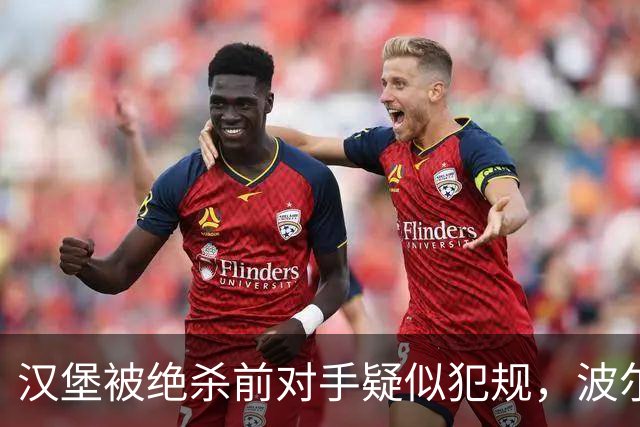 汉堡被绝杀前对手疑似犯规，波尔津质疑裁判尺度