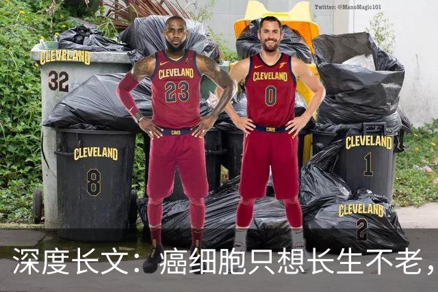 深度长文：癌细胞只想长生不老，人类跟这个叛徒到底打了一场什么仗？