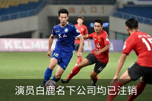 演员白鹿名下公司均已注销