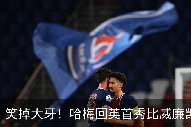 笑掉大牙！哈梅回英首秀比威廉凯特还受欢迎，细看猫腻太多