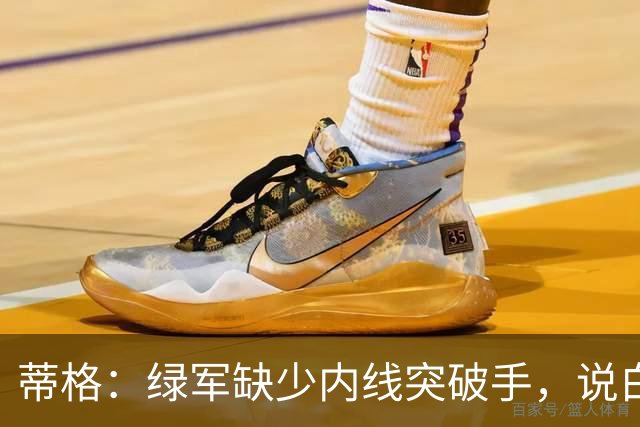 蒂格：绿军缺少内线突破手，说白了就是缺杰伦·布朗