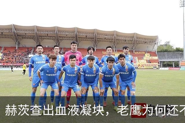 赫茨查出血液凝块，老鹰为何还不把他放进伤病储备？