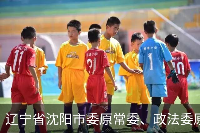 辽宁省沈阳市委原常委、政法委原书记，沈阳市铁西区委原书记郭忠孝被开除党籍和公职